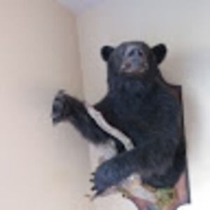 Meet your Posher, Royal